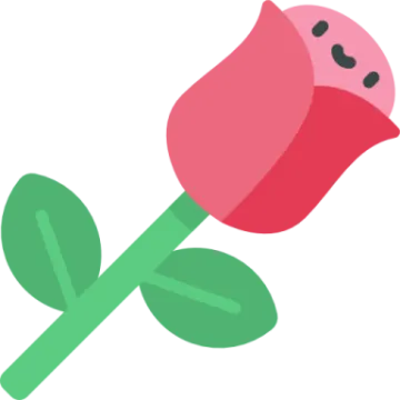 a pink rose with green leaves