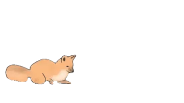 a drawing of a squirrel on a white background