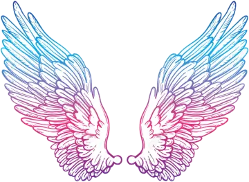 a pair of wings