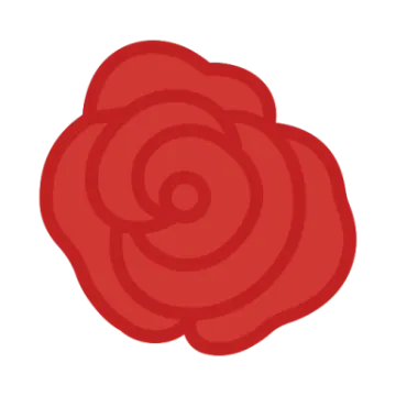 a red rose on a white background
