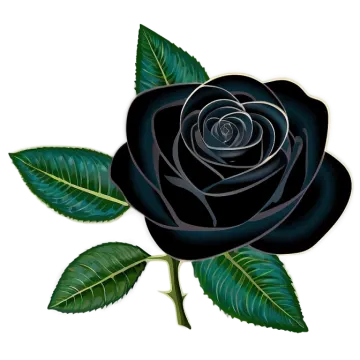 a black rose with green leaves