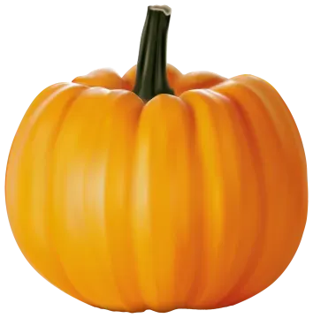 a large orange pumpkin on a white background