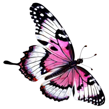 a pink butterfly on a white background