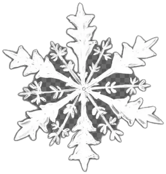 a black and white snowflake on a white background