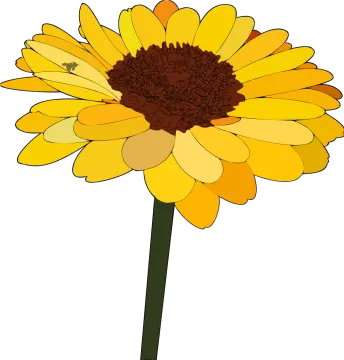 a yellow flower on a white background