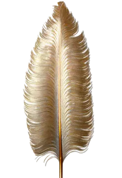 a golden feather on a white background