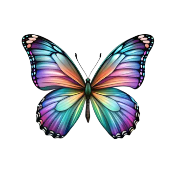 a colorful butterfly on white background