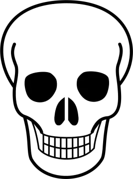 a black and white image of a skull