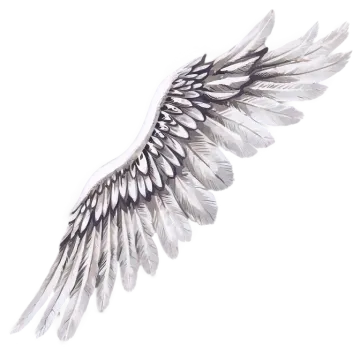 a watercolor drawing of an angel wing