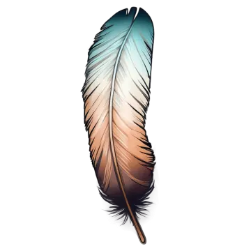 a feather on a white background