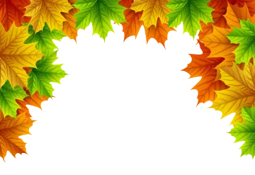 a frame made up of autumn leaves