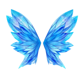 a pair of blue wings