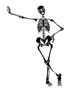 a skeleton with its arms spread out