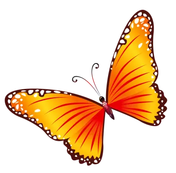 an orange butterfly on a white background