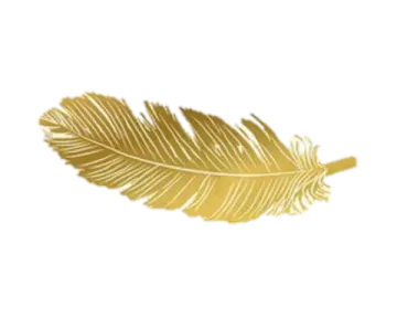 a golden feather on a white background