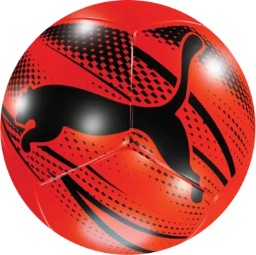 a soccer ball with an image of a dog on it