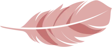 a pink feather on white background