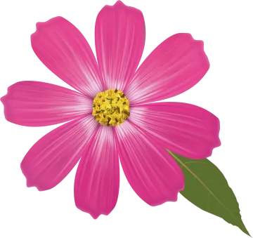 a pink flower with green leaves