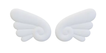 a pair of white wings on a white background