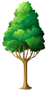 a green tree on a white background