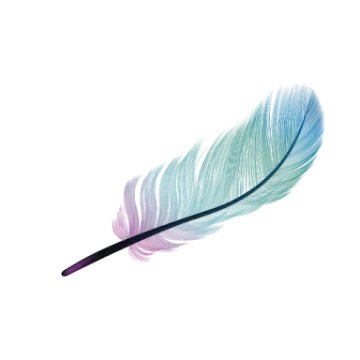 a colorful feather on a white background