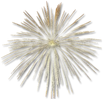 a gold and white star burst wall decoration