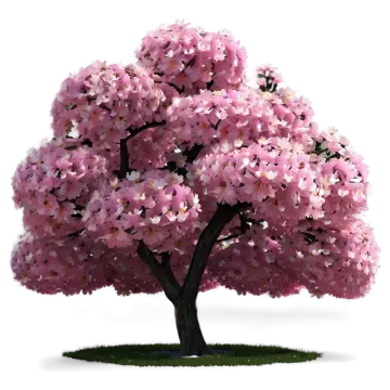 a tree with pink flowers on it