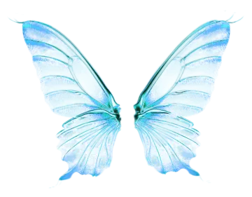 a blue butterfly on a white background
