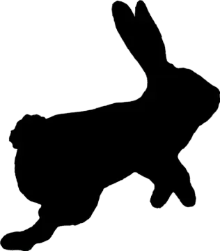a black and white silhouette of a rabbit