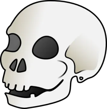 a white skull with black eyes