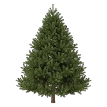 a small christmas tree on a white background