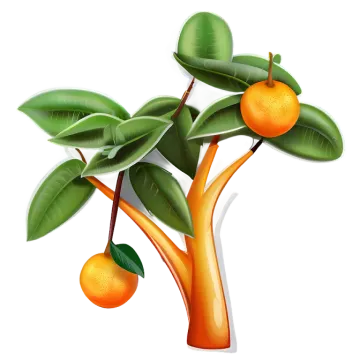 an orange tree with fruit on it