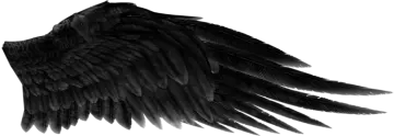 a drawing of an angel's wings