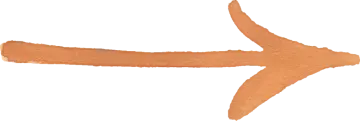 a starfish on a white background