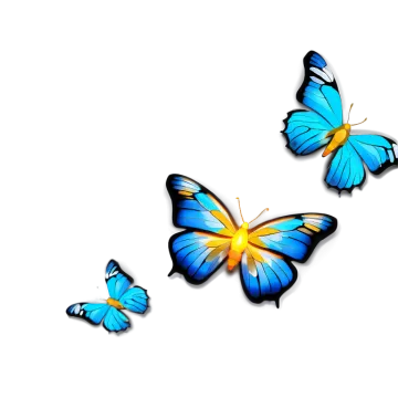 three blue butterflies on a white background