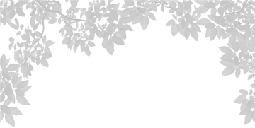 a white background with leaves and branches