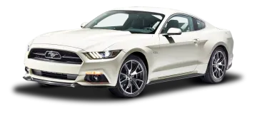 a white mustang is shown in this image