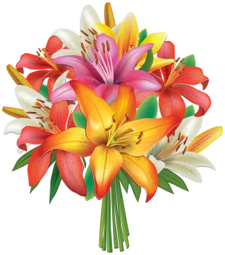 a bouquet of flowers on a white background