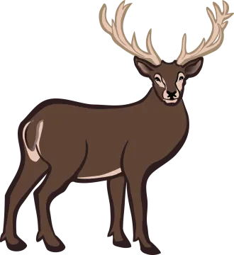 a brown deer standing on a white background