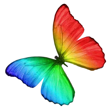 a rainbow colored butterfly on a white background