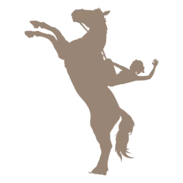 a silhouette of a horse and rider