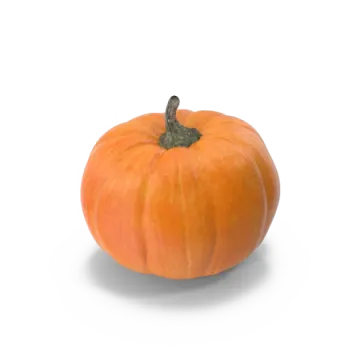 a small pumpkin on a white background