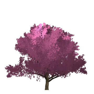 a tree with purple leaves on it