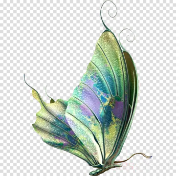 a green and purple butterfly on a transparent background