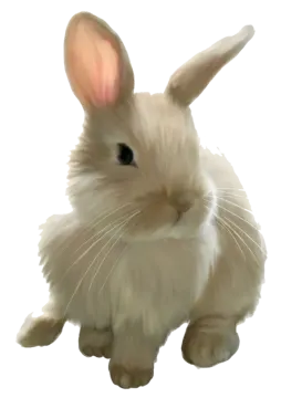 a white rabbit with long ears