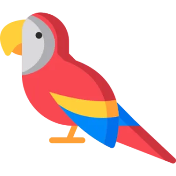 a red parrot on a white background