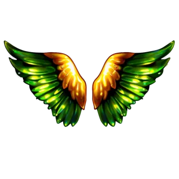 a pair of wings on a white background