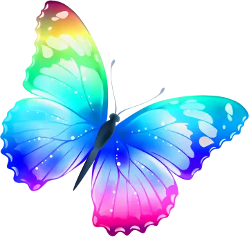 a colorful butterfly on white background