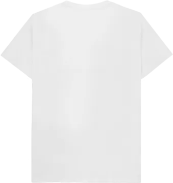 a picture of a white t - shirt
