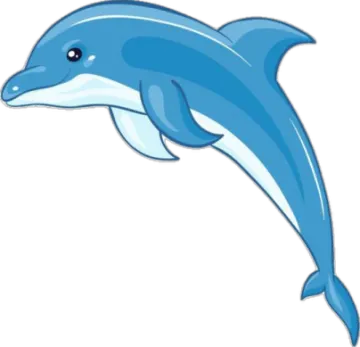 a dolphin jumping out of the water